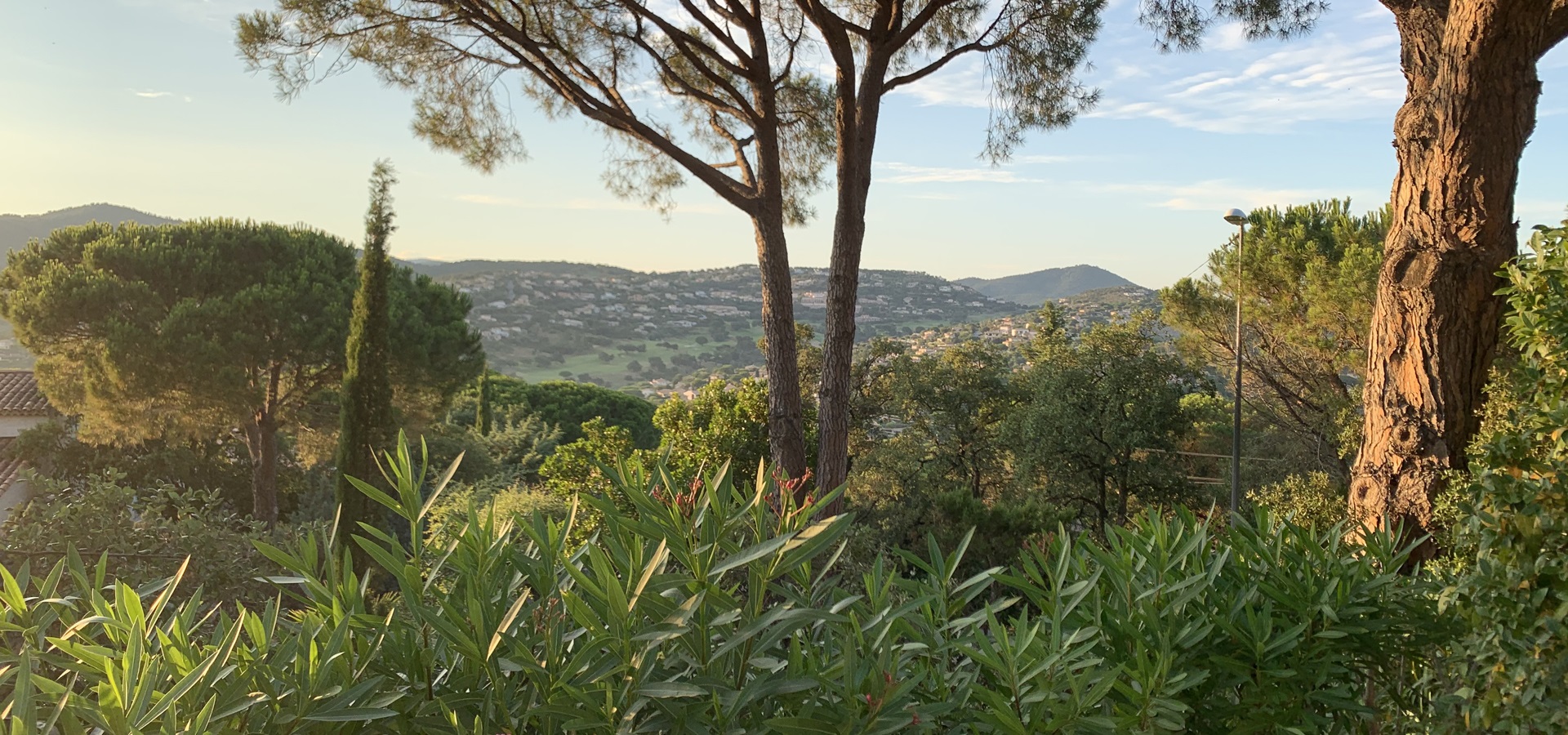 Vue terrasse